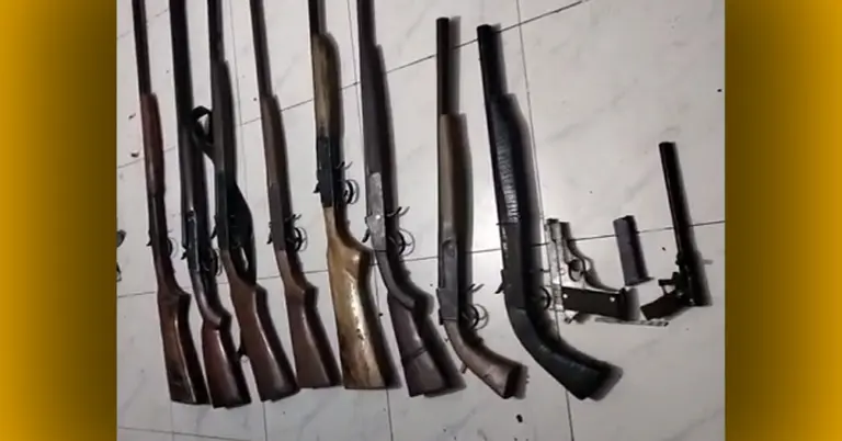 দেশি-বিদেশি অস্ত্র-গোলাবারুদ